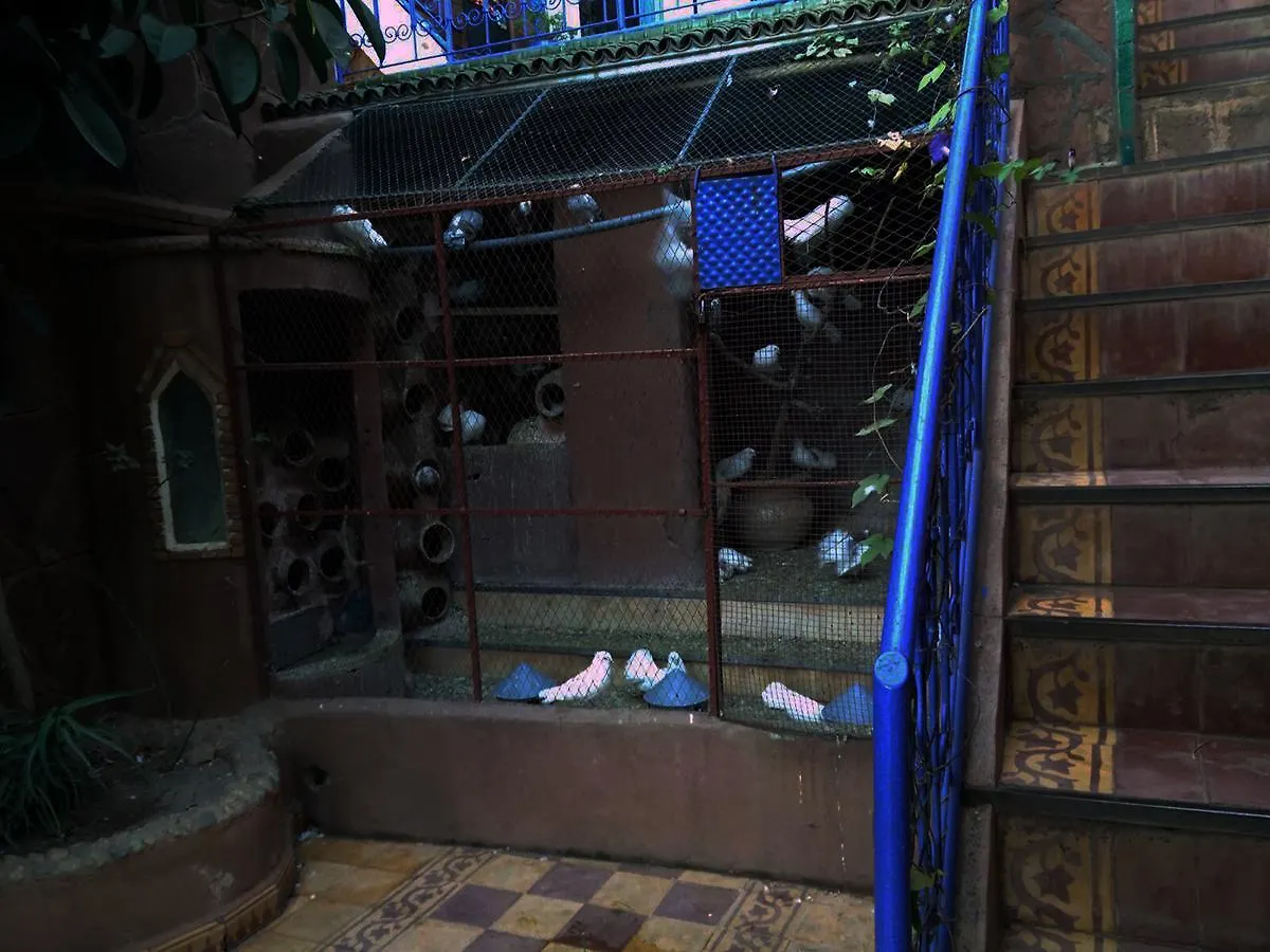 Kasbah Tifirte Hotel Marrakesh 3*,